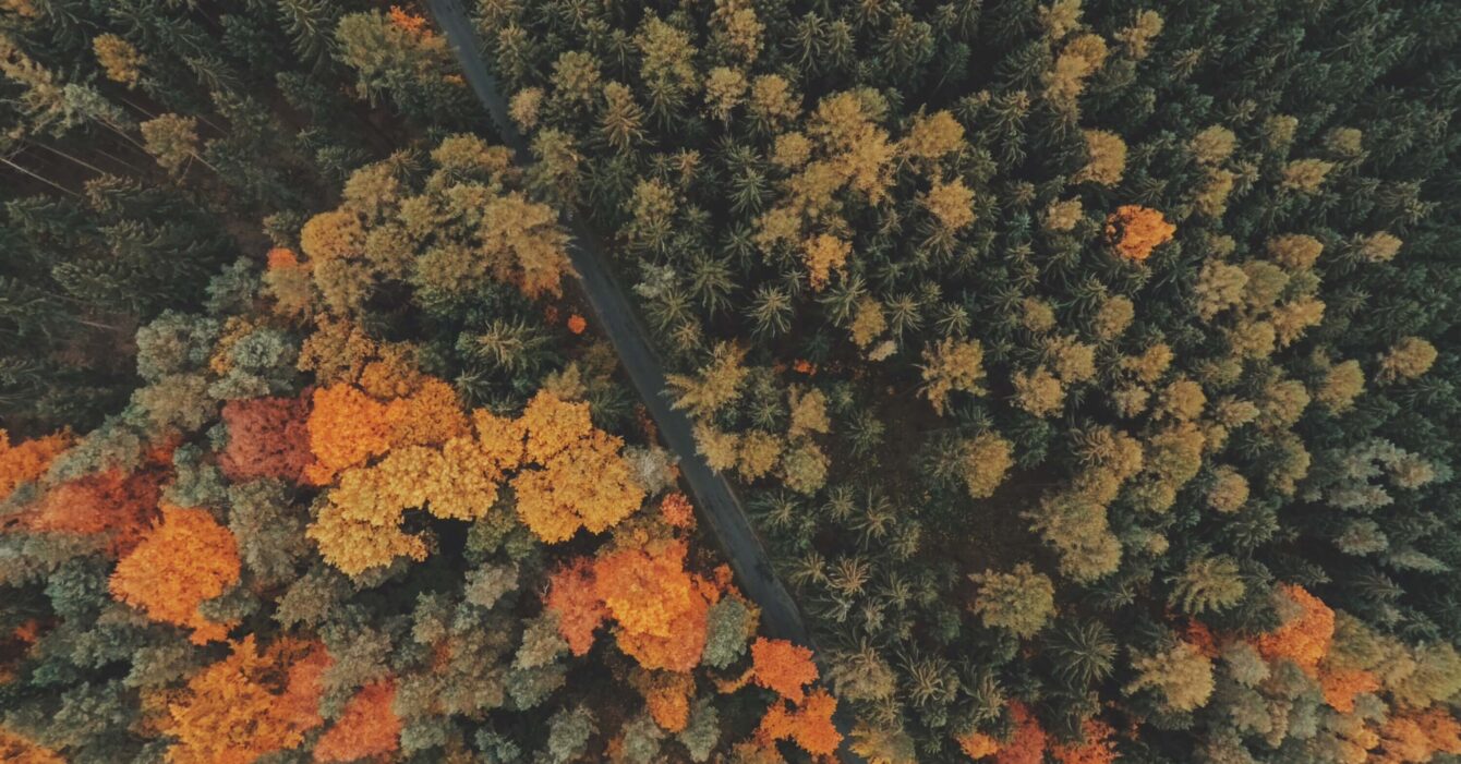 utqjcneofjo-jakub-sejkora1